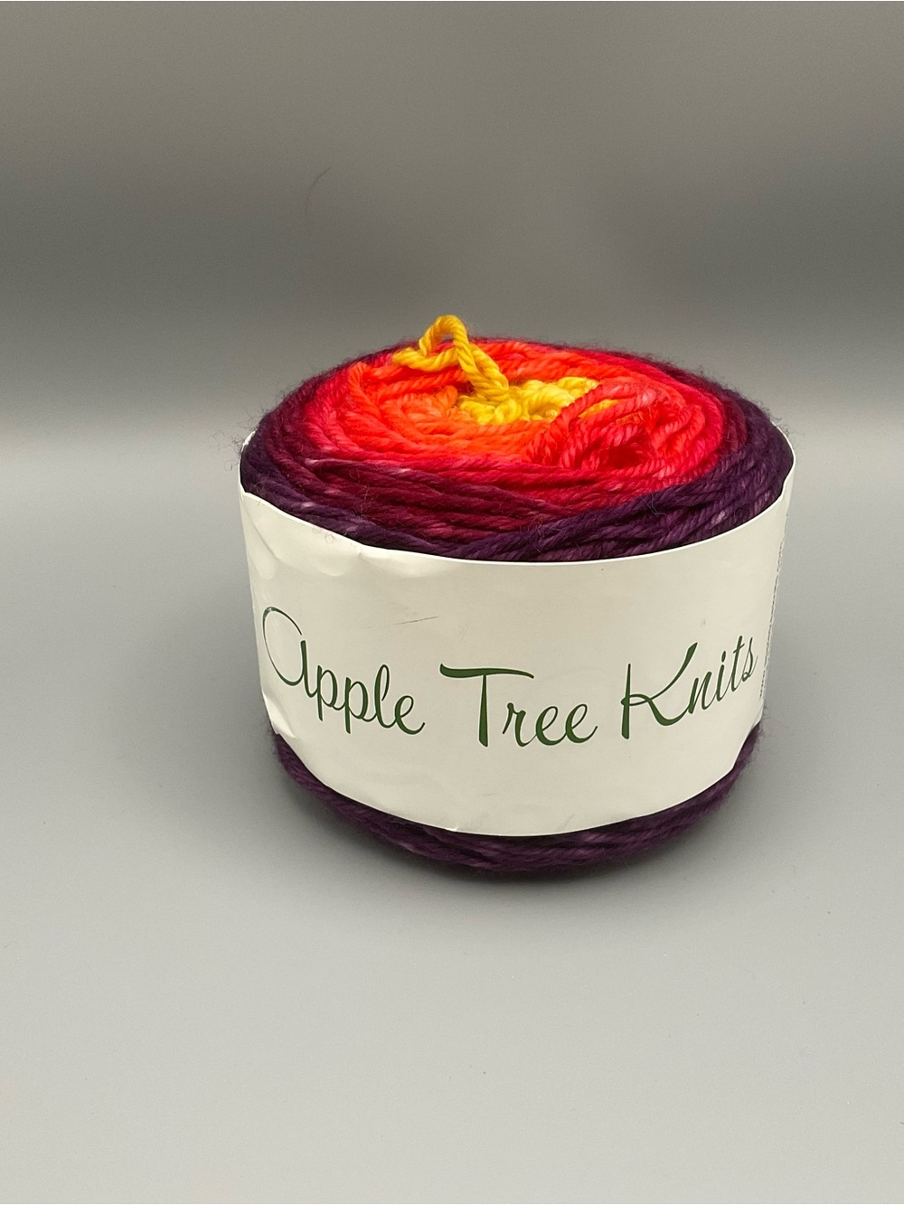 Apple Tree Knits Plush DK Yarn 1-4oz Cake 100% Merino Wool 280yds Fall Gradient